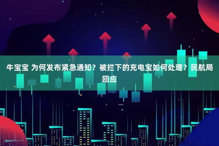 牛宝宝 为何发布紧急通知？被拦下的充电宝如何处理？民航局回应
