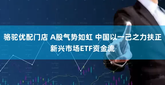 骆驼优配门店 A股气势如虹 中国以一己之力扶正新兴市场ETF资金流