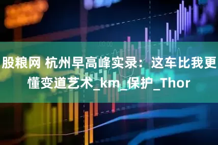 股粮网 杭州早高峰实录：这车比我更懂变道艺术_km_保护_Thor