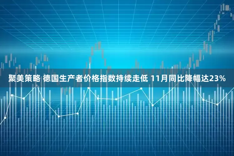 聚美策略 德国生产者价格指数持续走低 11月同比降幅达23%